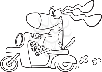 Royalty Free Clipart Image of a Dog on a Scooter