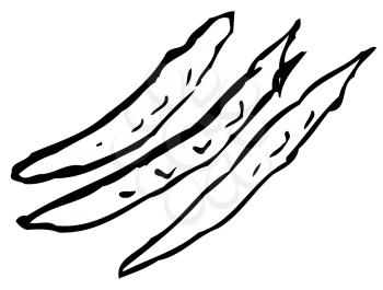 Royalty Free Clipart Image of Beans