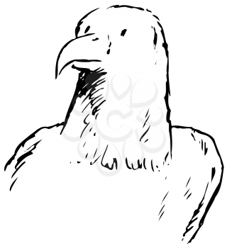 Royalty Free Clipart Image of Eagle