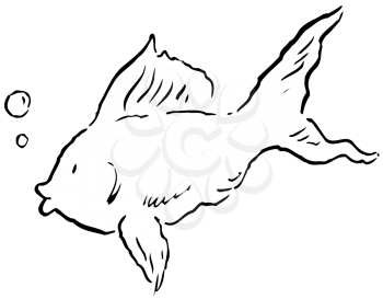 Royalty Free Clipart Image of a Tropical Fish
