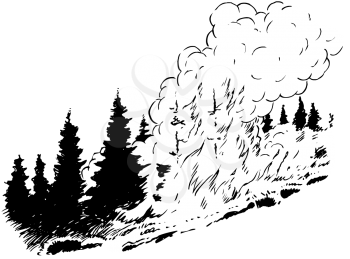 Royalty Free Clipart Image of a Forest Fire