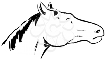 Royalty Free Clipart Image of a Horse's Head