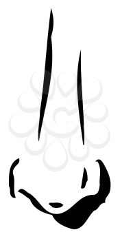 Royalty Free Clipart Image of a Long Narrow Nose