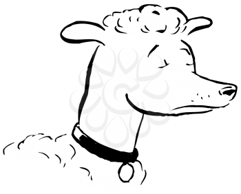 Royalty Free Clipart Image of a Poodle