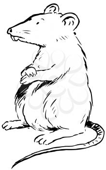 Royalty Free Clipart Image of a Rat With Its Paws Crossed