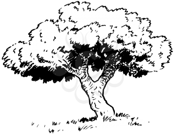 Royalty Free Clipart Image of a Tree