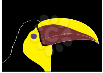 Royalty Free Clipart Image of a Keel-Billed Toucan