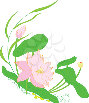 Royalty Free Clipart Image of Water Lilies
