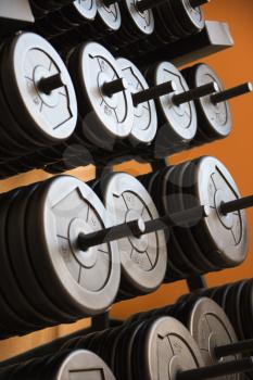 Royalty Free Photo of Stacks of Barbell Weights at a Gym