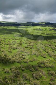 Royalty Free Photo of an Aerial of Maui, Hawaii Countryside With Green Grass and Trees