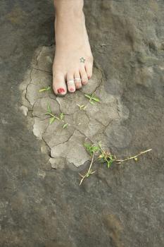 Royalty Free Photo of a Woman's Foot on a Muddy Rocky With Weeds