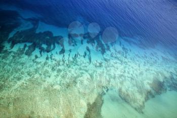 Royalty Free Photo of Tropical Ocean Floor Seen Through Clear Water