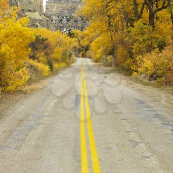 Royalty Free Photo of a Country Road With Yellow Aspen Trees on Both Sides