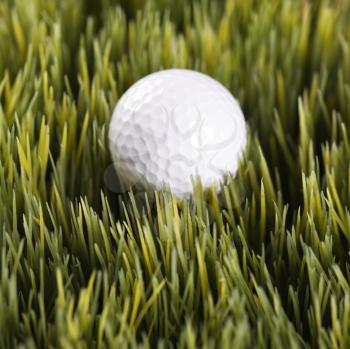 Royalty Free Photo of a Studio Shot of a Golf Ball Resting in Grass