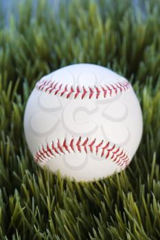 Royalty Free Photo of a Baseball Resting in Grass