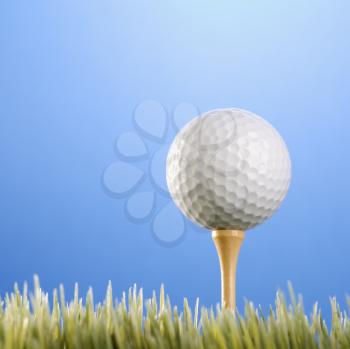 Royalty Free Photo of a Studio Shot of a Golf ball on a Tee in the Grass