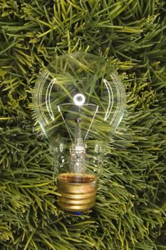 Studio shot of glass light bulb laying in grass.