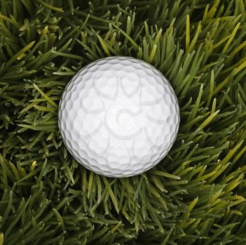 Royalty Free Photo of a Studio Shot of a Golf Ball Laying in Grass