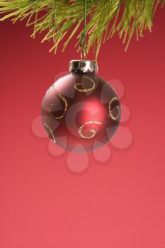 Royalty Free Photo of a Round Red Christmas Ornament Hanging From a Pine Branch