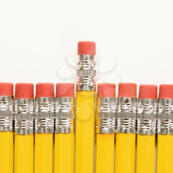 Royalty Free Photo of a Row of Pencils