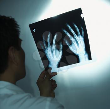 Royalty Free Photo of a Doctor Examining X-Rays