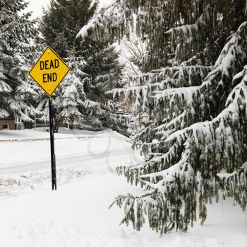 Royalty Free Photo of a Snowy Street With Evergreen Trees and Dead End Road Sign