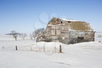 Royalty Free Photo of a Rustic Barn in a Rural Snow Covered Landscape