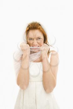 Royalty Free Photo of a Bride Biting Her Veil