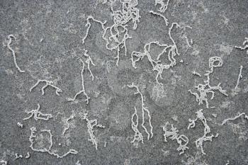 Royalty Free Photo of Squiggly Lines in Sand in Daintree Rainforest, Australia