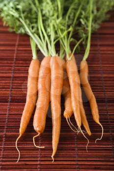 Royalty Free Photo of Carrots on a Bamboo Mat