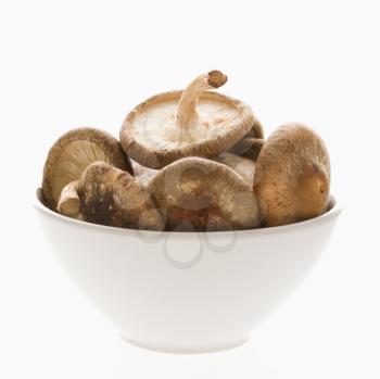 Bowlful of shiitake mushrooms on white background.