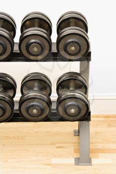 Hand weights on rack at gym.