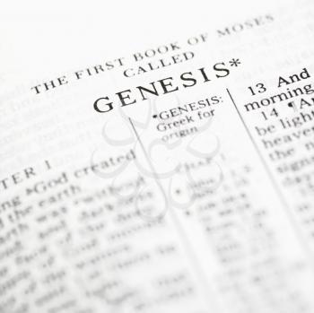 Royalty Free Photo of a Close-up of Genesis Verses in an Open Holy Bible