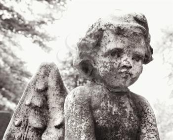 Royalty Free Photo of a Close-up of a Cherub Statue in a Graveyard