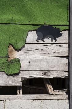 Royalty Free Photo of Wooden Siding With Green Turf and a Pig Drawing