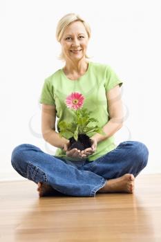 Royalty Free Photo of a Woman Sitting Holding a Pink Gerber Daisy Plant