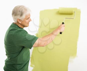 Royalty Free Photo of a Man Painting a Wall Green With a Paint Roller