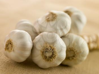 Royalty Free Photo of Bulbs of Garlic