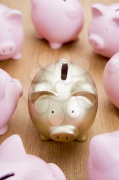 Royalty Free Photo of a Golden Piggy Bank Among Pink Ones