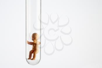 Royalty Free Photo of a Baby Figurine in a Test Tube
