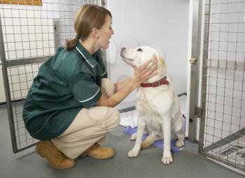 Royalty Free Photo of a Nurse With a Dog