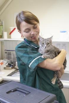 Royalty Free Photo of a Nurse Holding a Cat