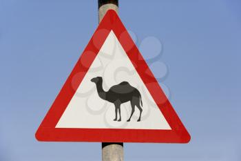 Royalty Free Photo of a Camel Sign