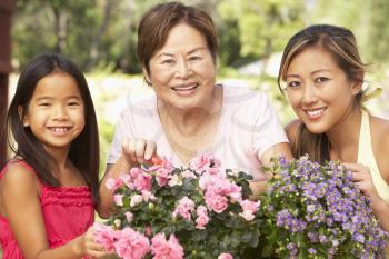 Royalty Free Photo of Three Generations of Women With Flowers