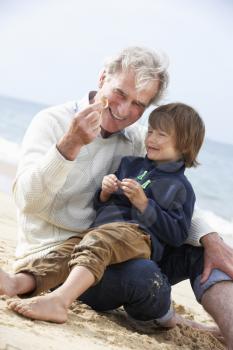 Grandfather And Grandson Looking at Shell On Beach Together