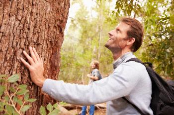 Man touching a tree in a forest, his son in the background