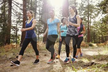 Group of women runners walking in a forest, close up