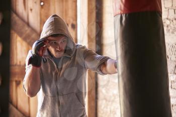 Young Male Boxer Working Out With Punchbag In Gym