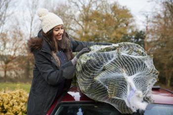 A young woman holding a Christmas tree to tie to roof of car