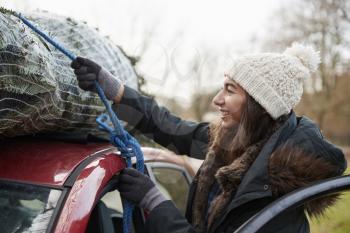 Young woman tying Christmas tree to roof of a car, close up